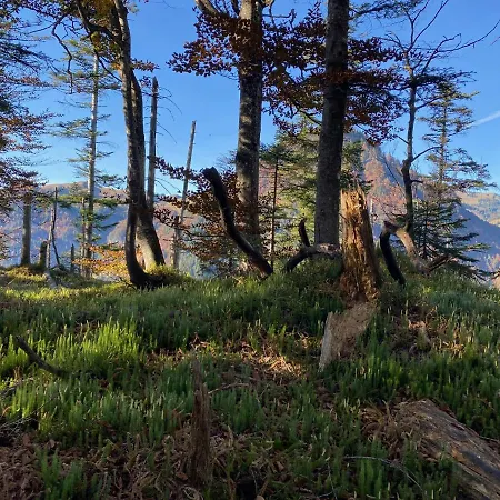 Herzi - Ausgestattet, Neu, Chic Und Sehr Gemuetlich
