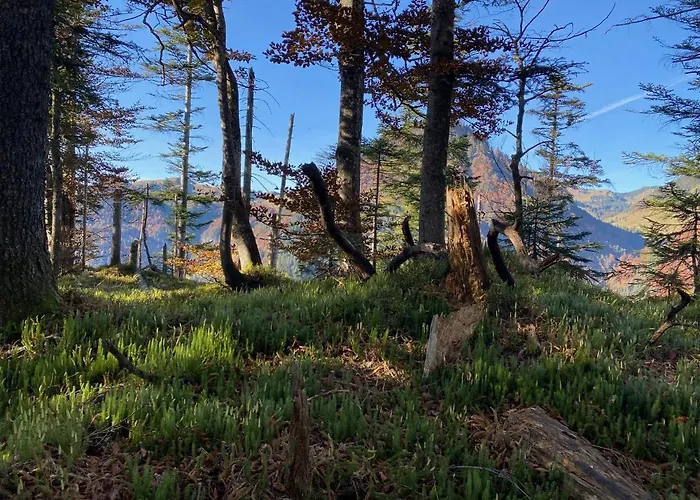 Herzi - Ausgestattet, Neu, Chic Und Sehr Gemuetlich